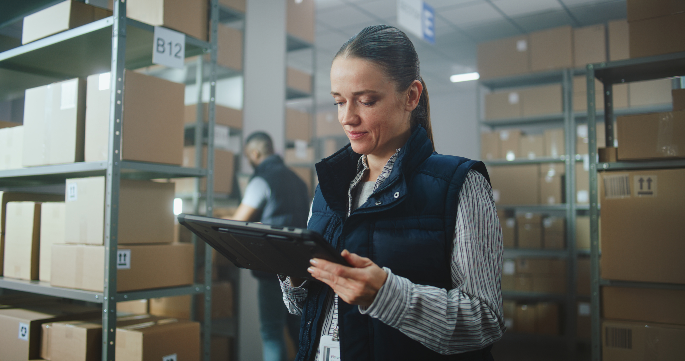Inventory Manager in warehouse facility